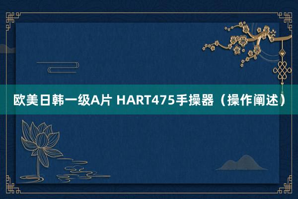欧美日韩一级A片 HART475手操器（操作阐述）