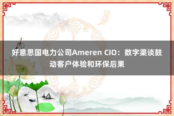 好意思国电力公司Ameren CIO：数字渠谈鼓动客户体验和环保后果